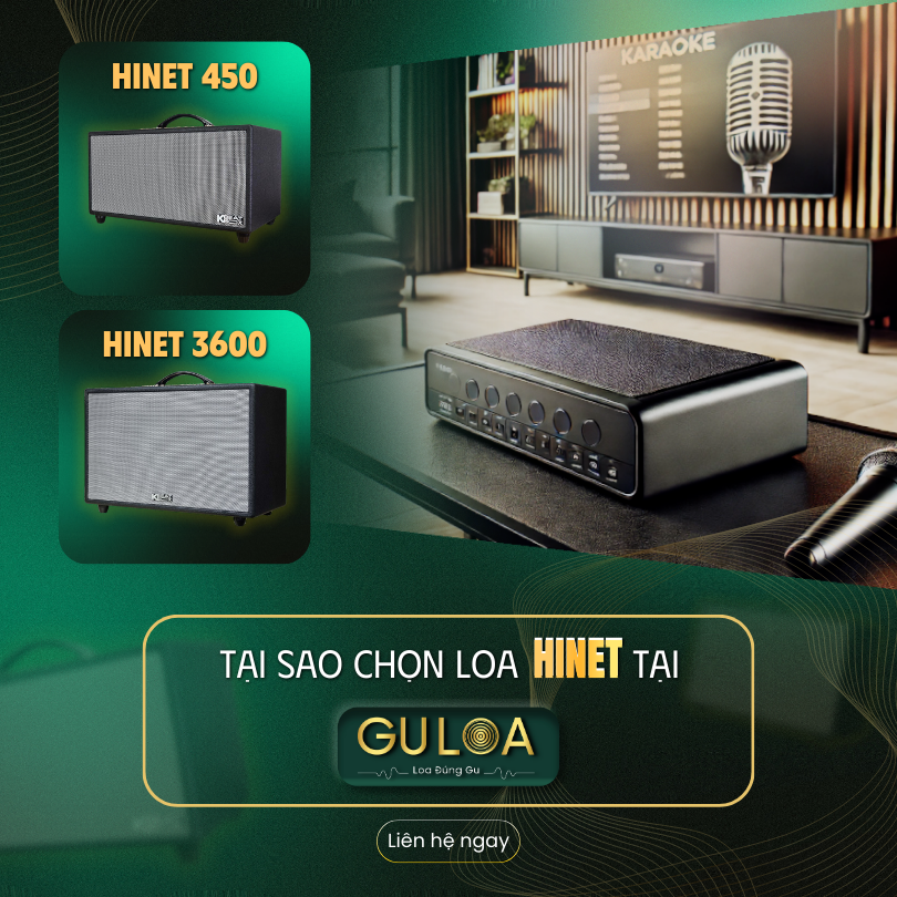 Tại sao bạn nên chọn loa karaoke Acnos HiNet tại GuLoa?